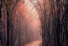 世界杯外围APP -医疗科技大廠(chǎng)美敦力IT系统遭遇黑客入侵(qīn)，未影(yǐng)響(xiǎng)服务交付