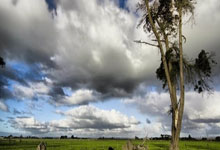 世界杯外围APP -学知识 守底线