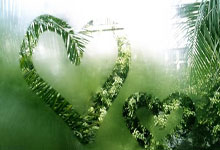 世界杯外围APP -学知识 守底线