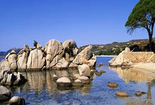 世界杯外围APP -学知识 守底线